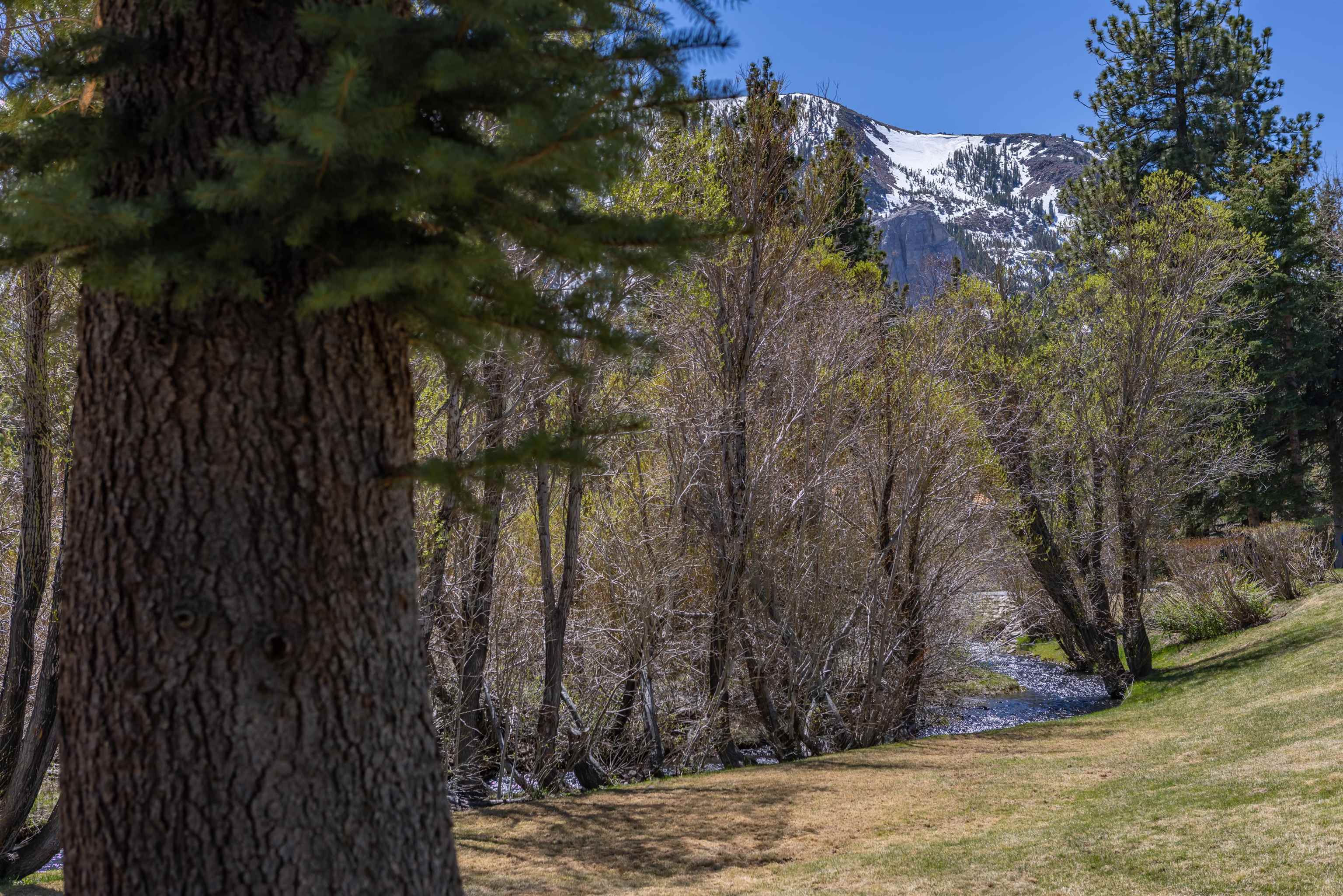 625 Golden Creek Road, Unit 625 Mammoth Lakes, CA 93546 - Photo 28 of 30