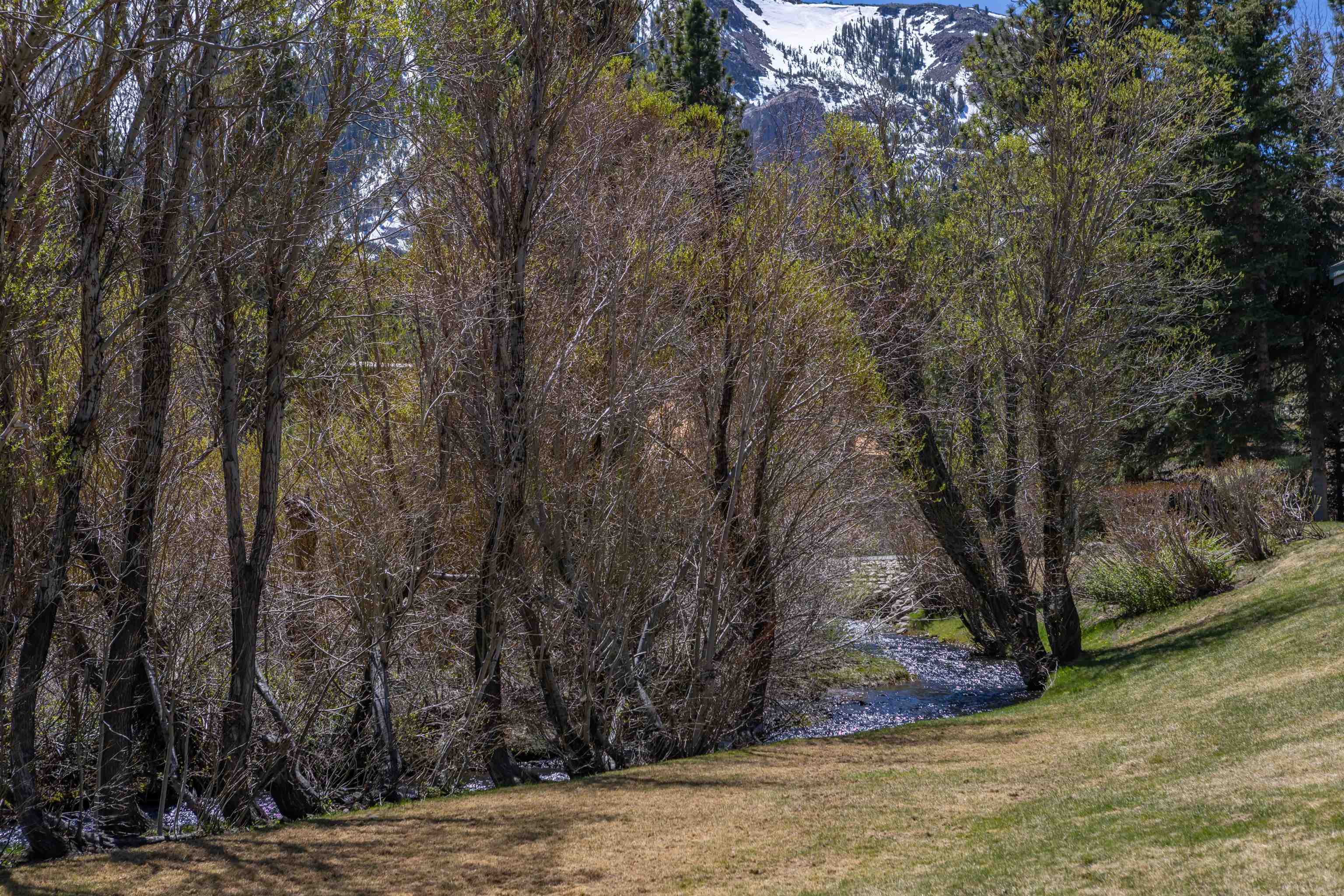 625 Golden Creek Road, Unit 625 Mammoth Lakes, CA 93546 - Photo 29 of 30