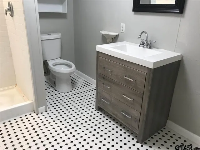 a bathroom with a sink and a toilet