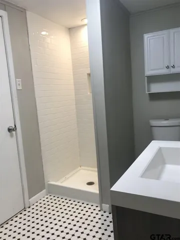 a bathroom with a sink a toilet and a shower