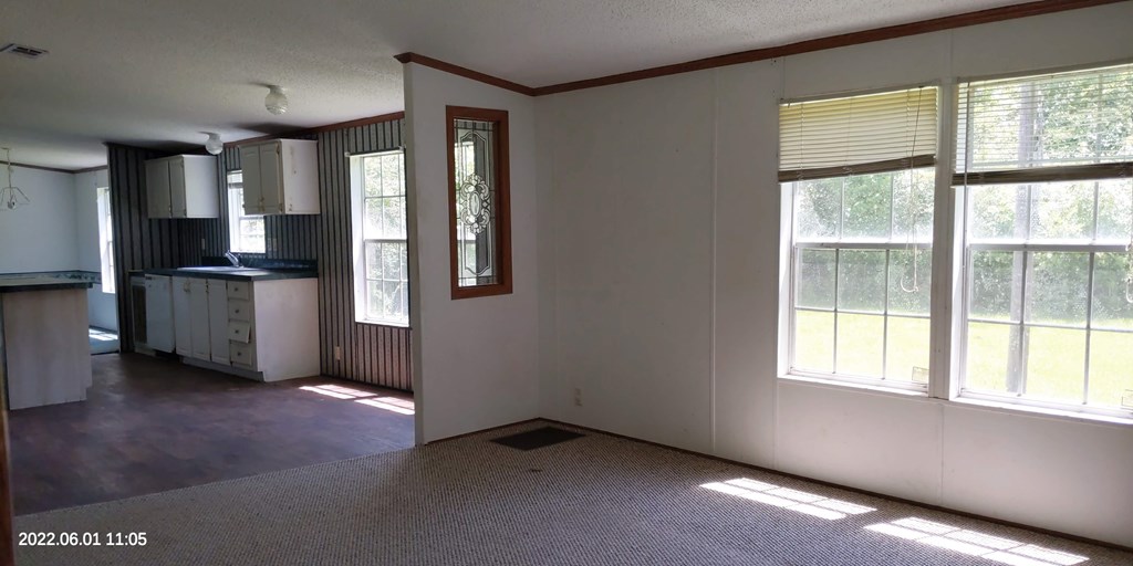 462 Bump Road Webb, AL 36376 - Photo 8 of 29