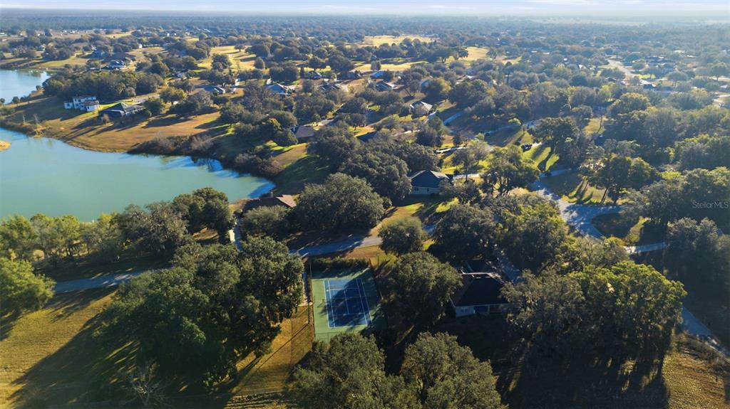 36602 Honey Tree Court Eustis, FL 32736 - Photo 14 of 52