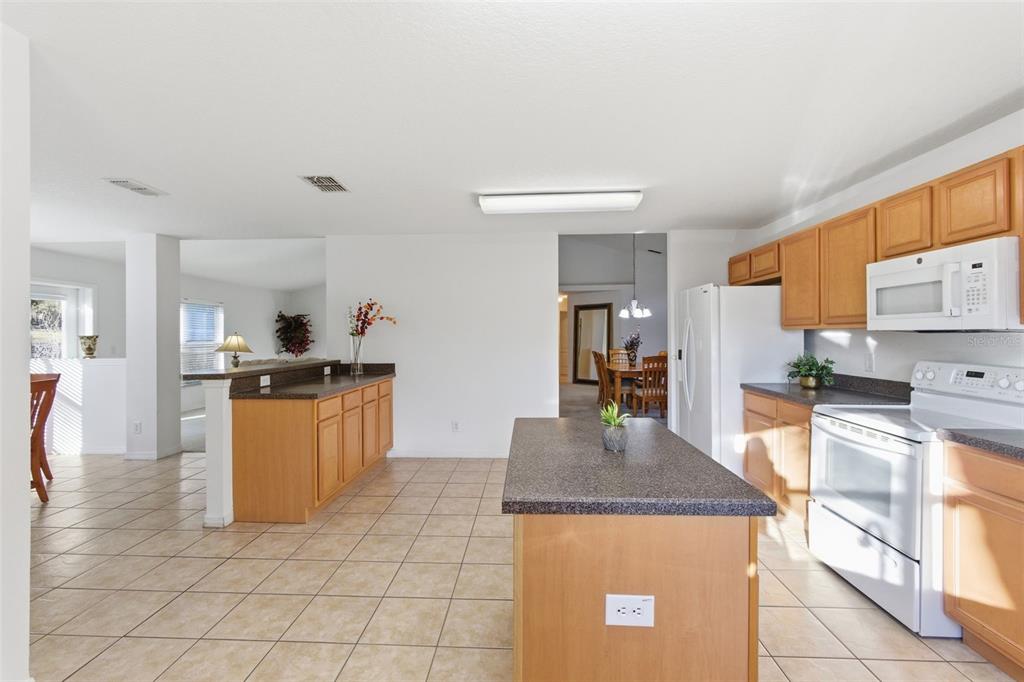 36602 Honey Tree Court Eustis, FL 32736 - Photo 29 of 52