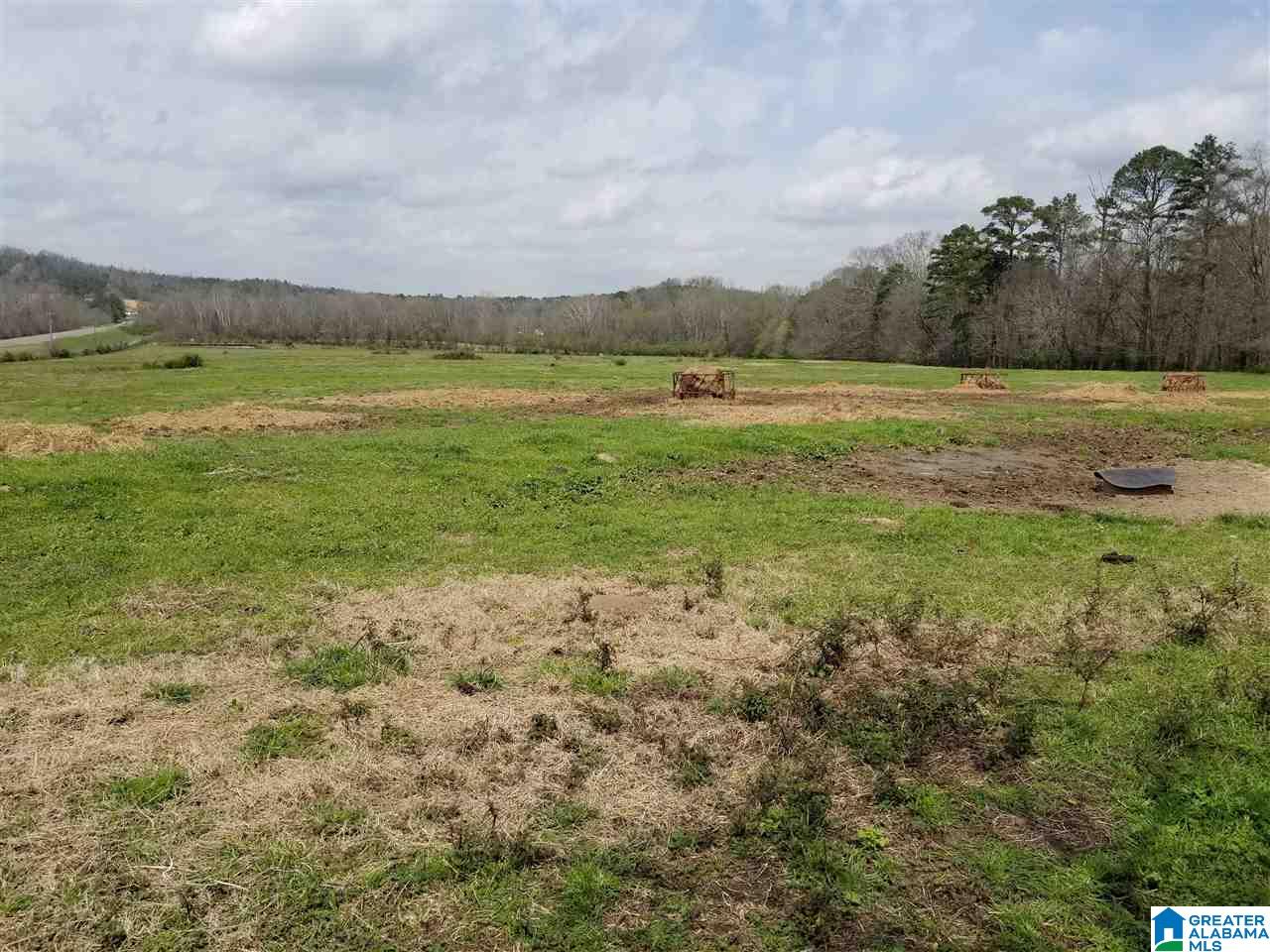26 County Road Ashville, AL 35953 - Photo 1 of 6