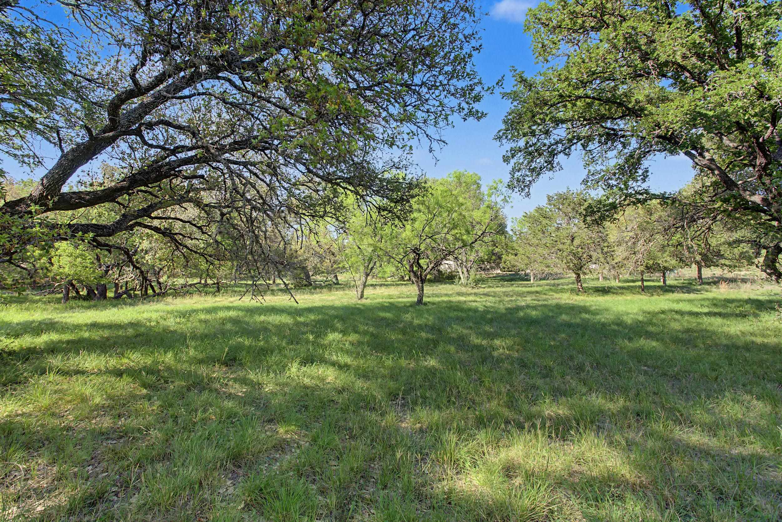 Fault Line Horseshoe Bay, TX 78657 - Photo 5 of 26 a view of yard with trees