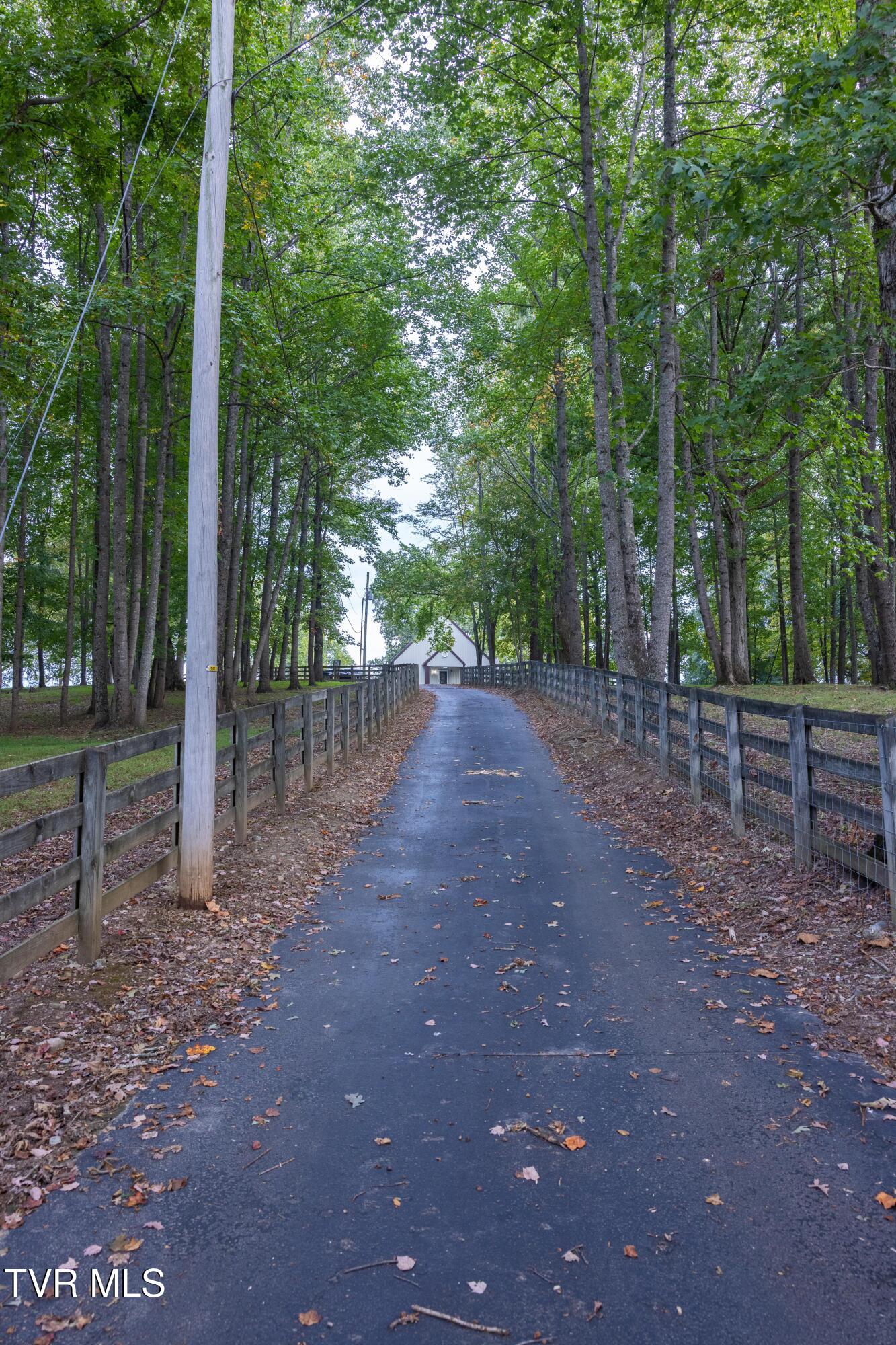 2153 Old State Rte 34 Limestone, TN 37681 - Photo 29 of 45 Driveway