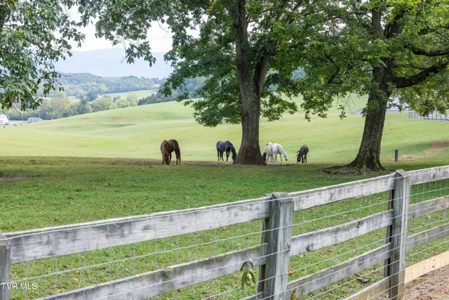 $475,000 | 2153 Old State Rte 34, Limestone, TN 37681