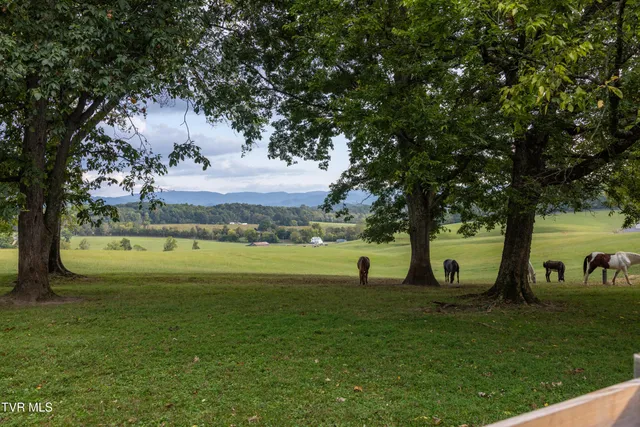 $475,000 | 2153 Old State Rte 34, Limestone, TN 37681