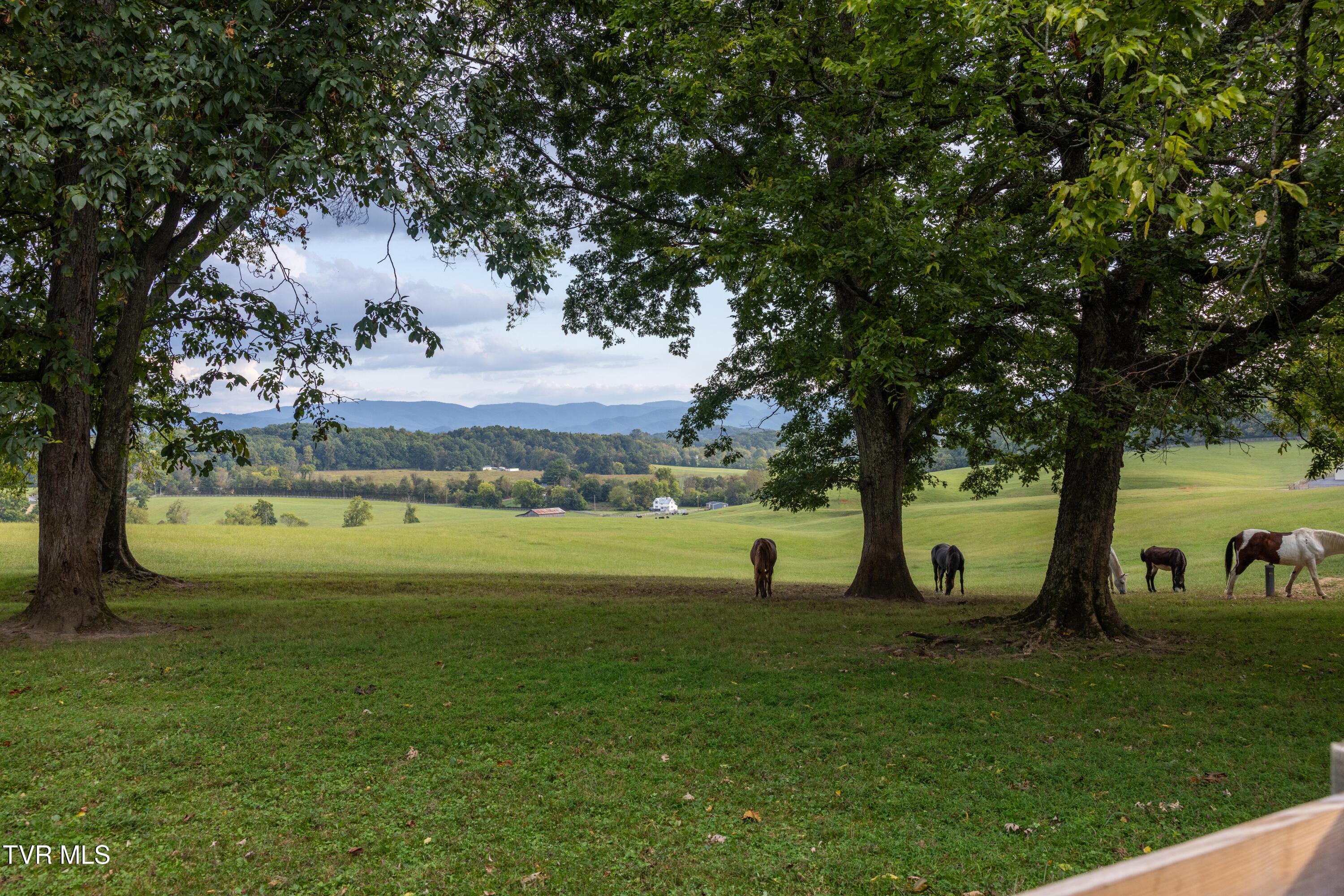 2153 Old State Rte 34 Limestone, TN 37681 - Photo 33 of 45 View