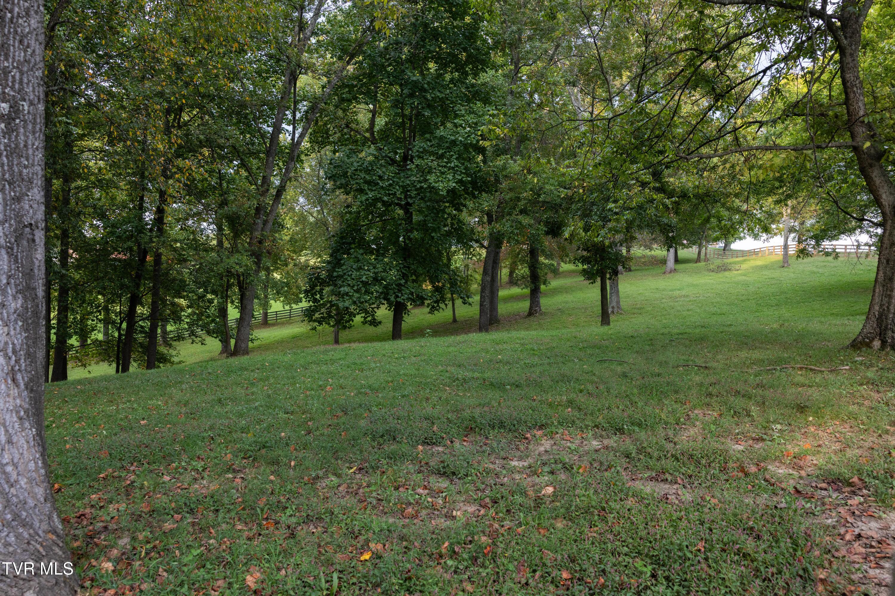 2153 Old State Rte 34 Limestone, TN 37681 - Photo 34 of 45 Property