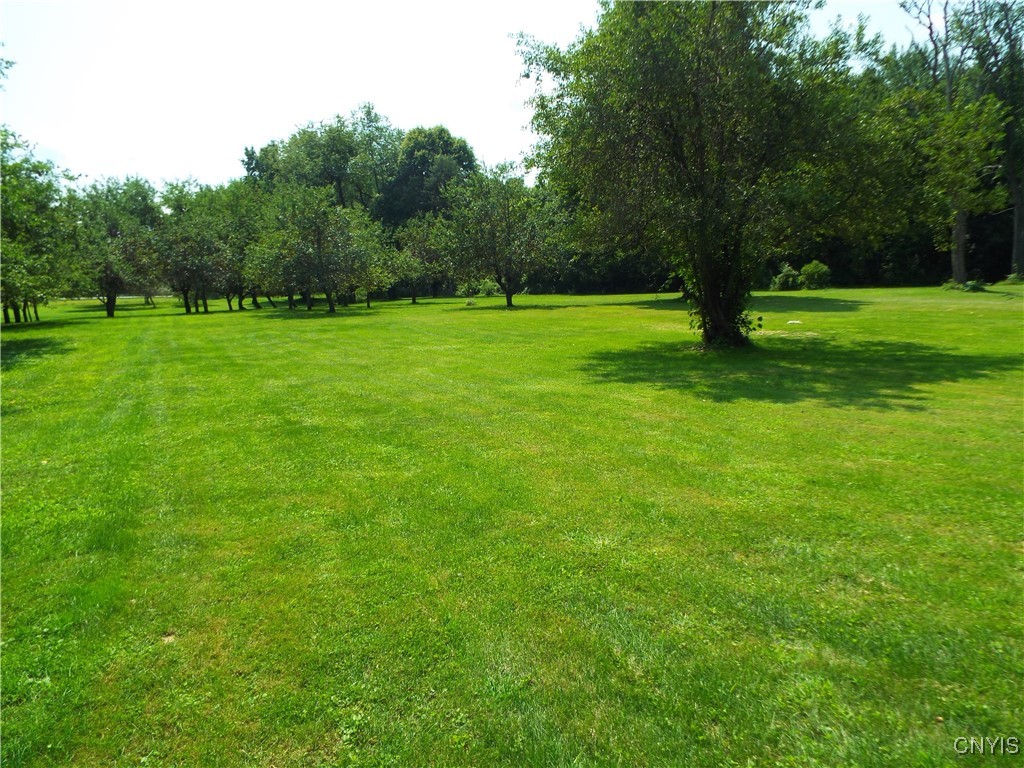 1212 Fyler Road Sullivan, NY 13082 - Photo 39 of 44