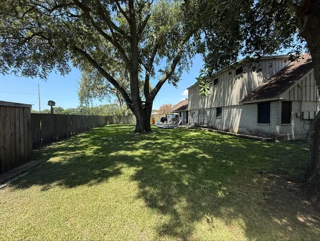 a view of backyard with tree
