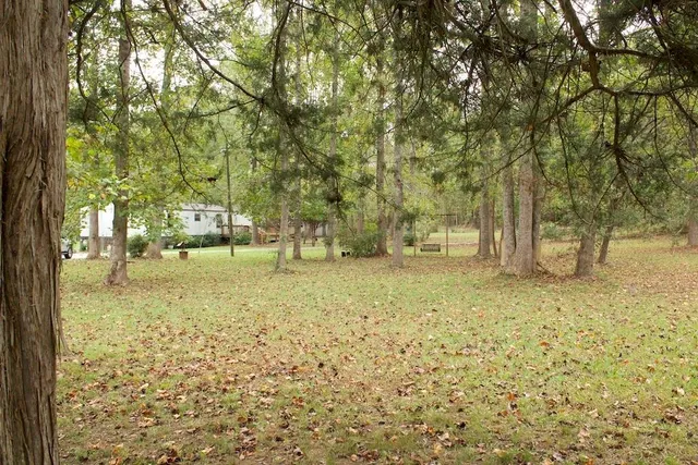 a view of yard with trees