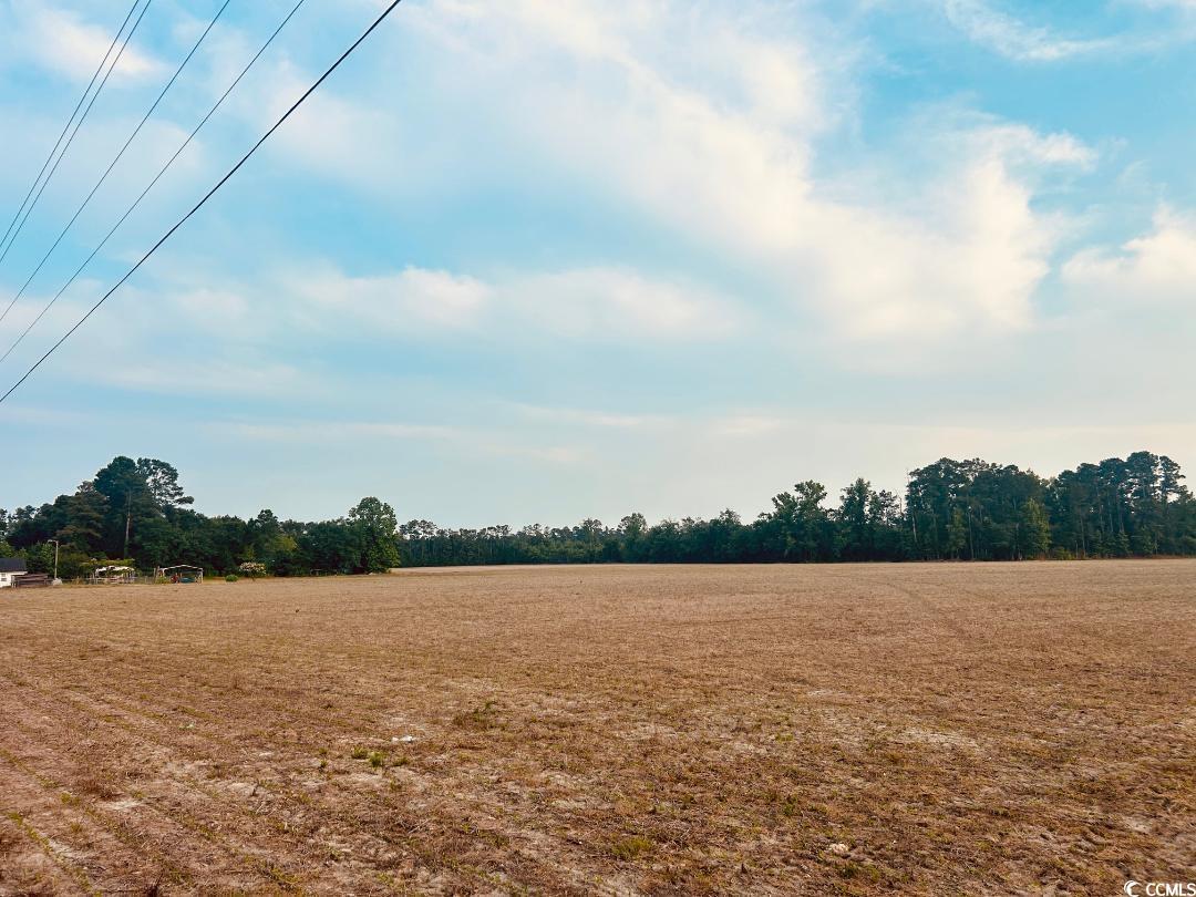 9 Highway 9 Nichols, SC 29581 - Photo 1 of 8