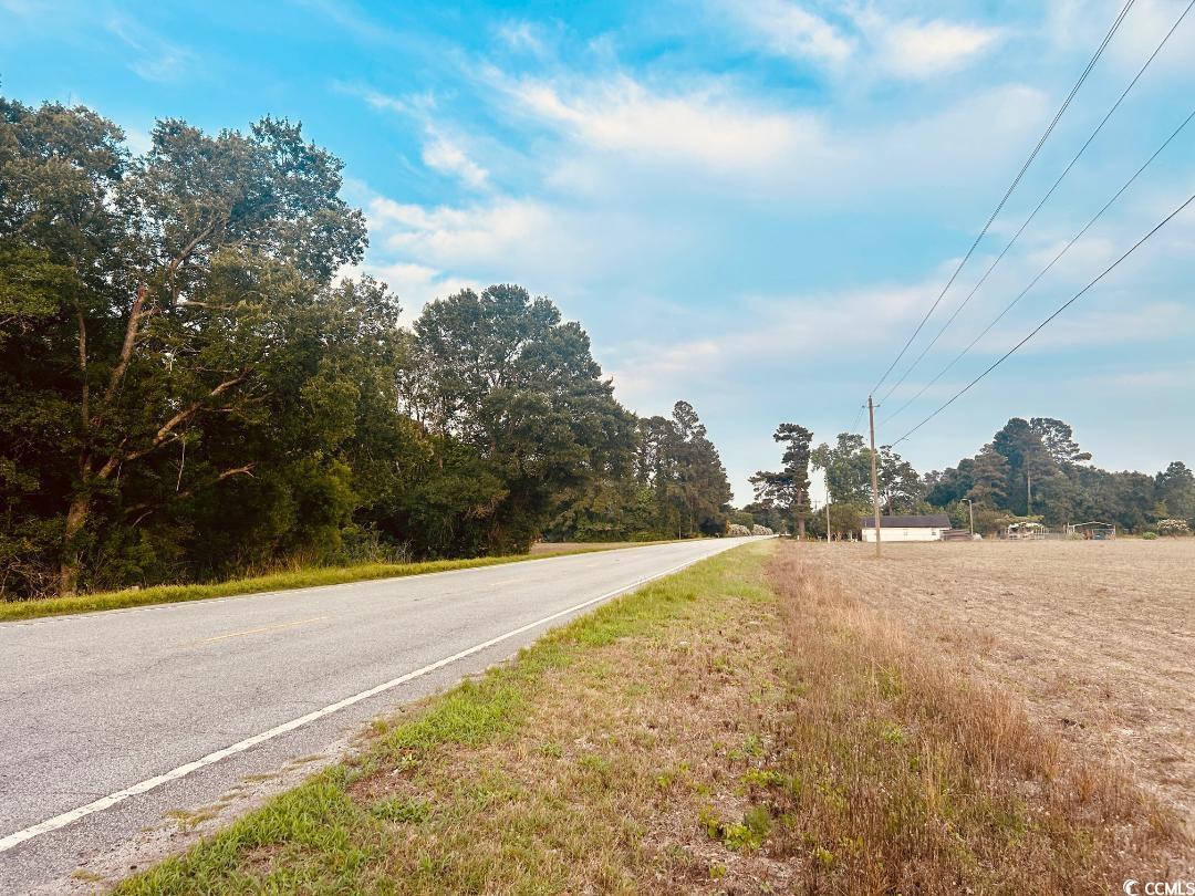 9 Highway 9 Nichols, SC 29581 - Photo 4 of 8