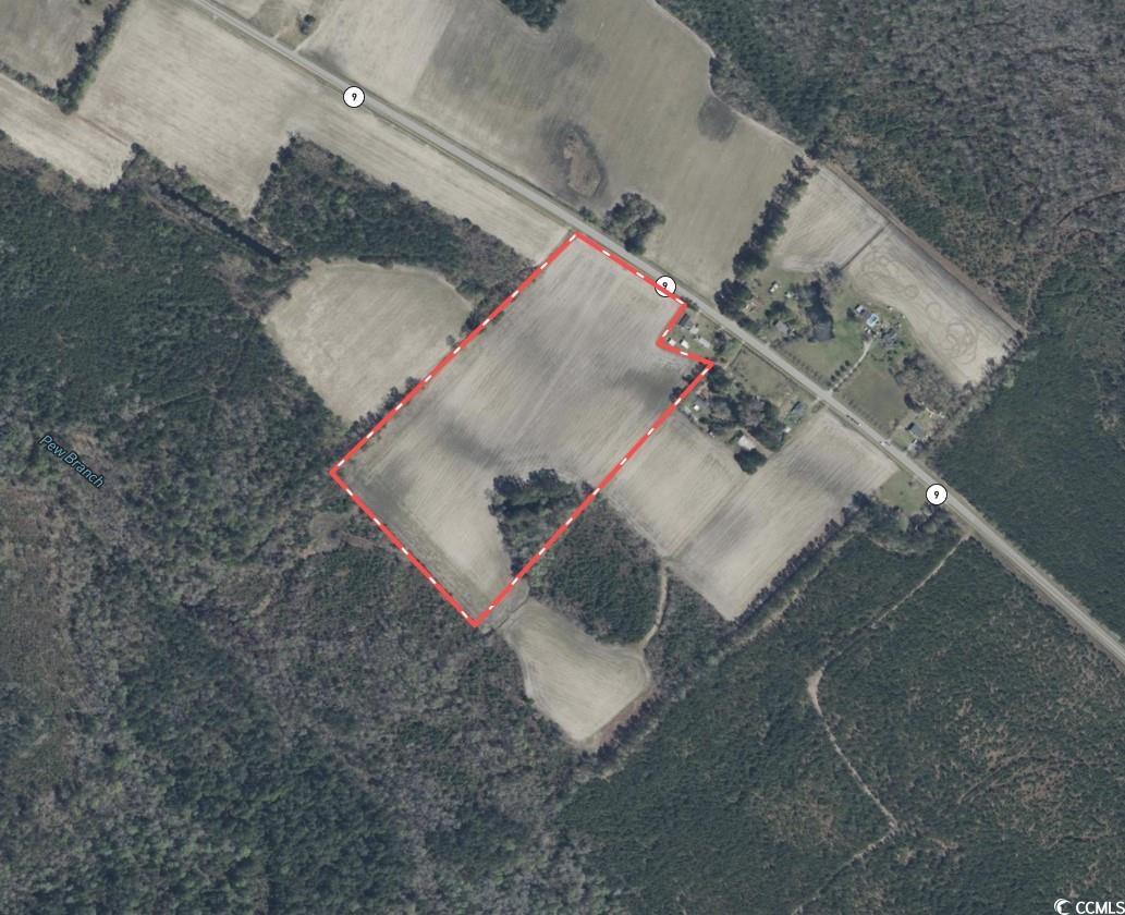 9 Highway 9 Nichols, SC 29581 - Photo 6 of 8