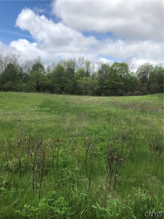 5967 Breed Road Camillus, NY 13031 - Photo 1 of 1