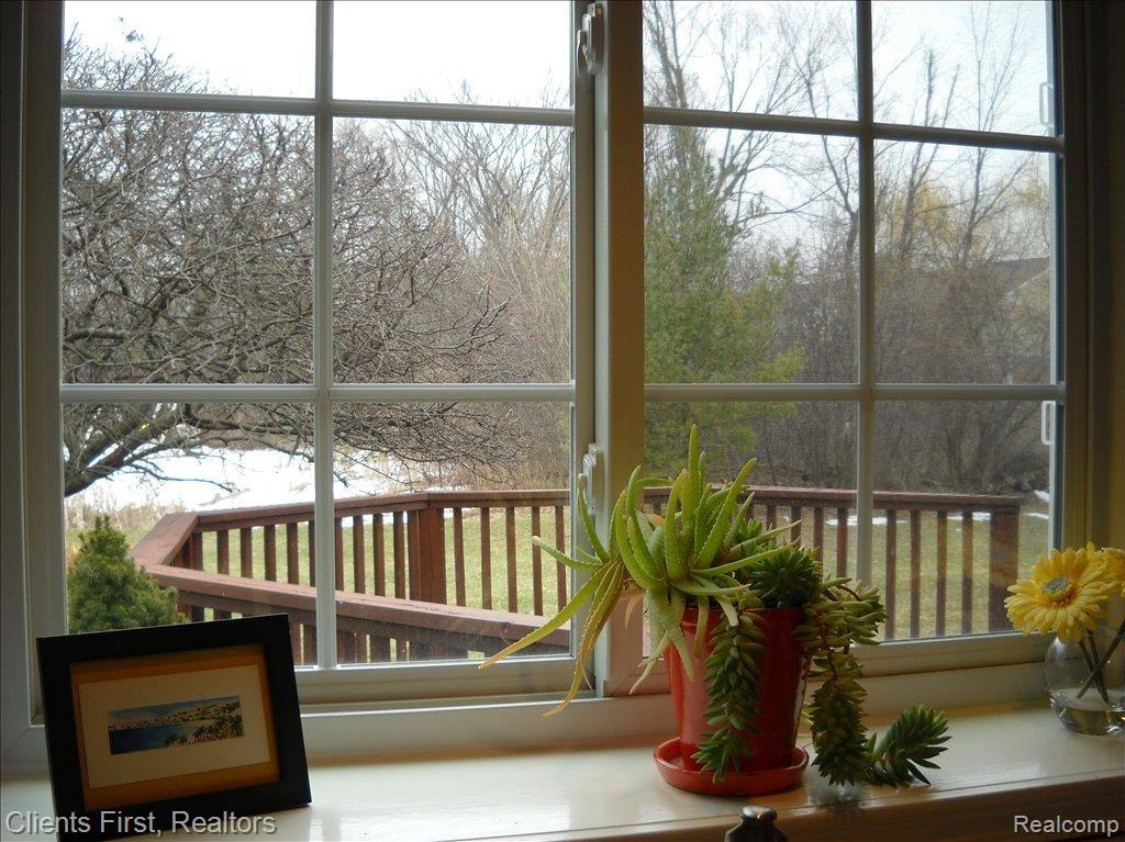 45623 Hanford Road Canton, MI 48187 - Photo 12 of 23 veiw from kitchen sink