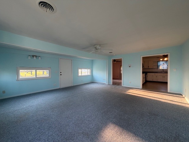 118 Bloomington Street Dewitt, IL 61735 - Photo 11 of 26