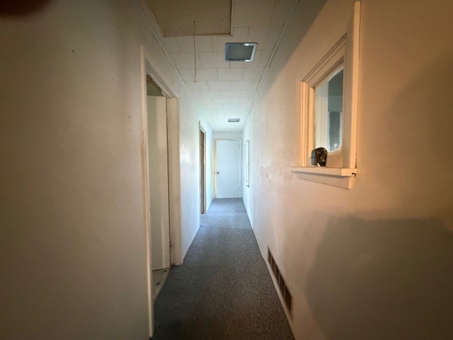 118 Bloomington Street Dewitt, IL 61735 - Photo 18 of 26