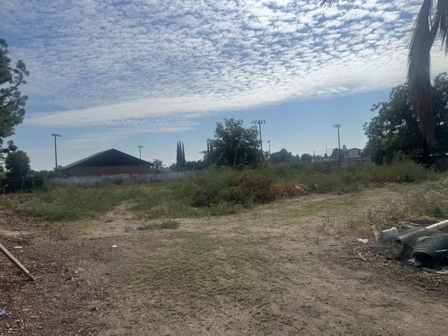 a view of yard with trees