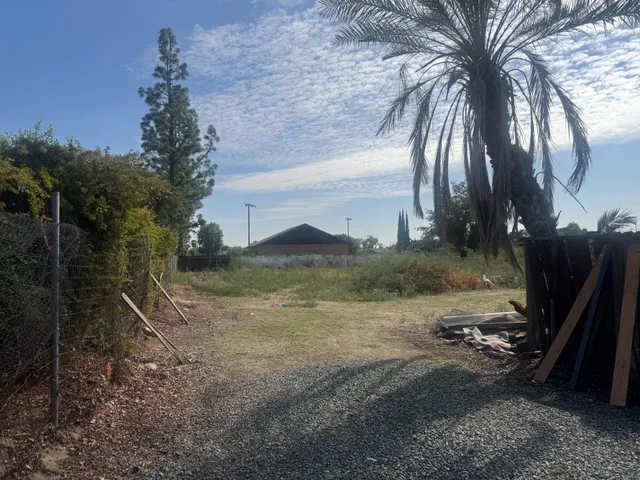 a view of a house with a large tree