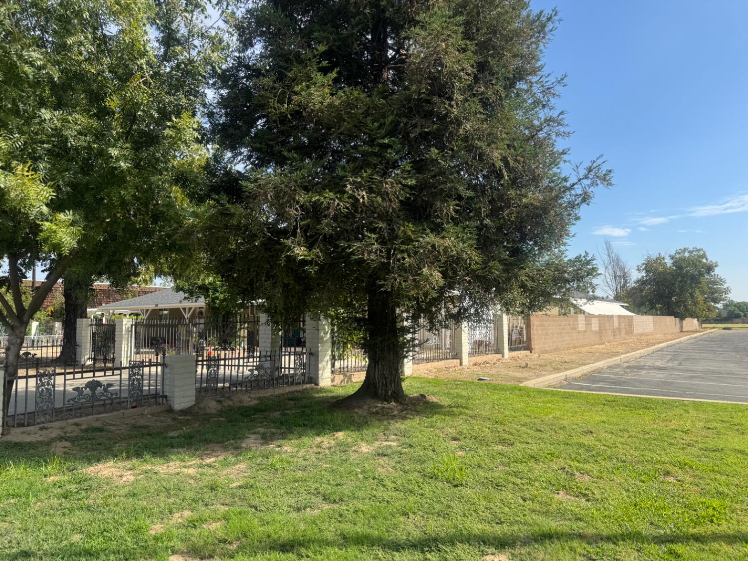 3280 McCall Avenue Selma, CA 93662 - Photo 41 of 56 a view of yard with trees