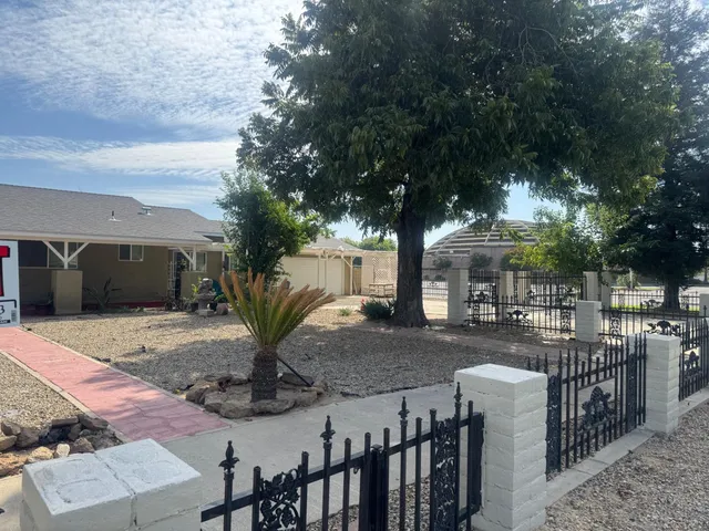 a view of a yard with plants