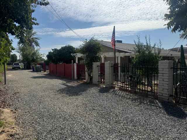 a view of a yard with plants and trees