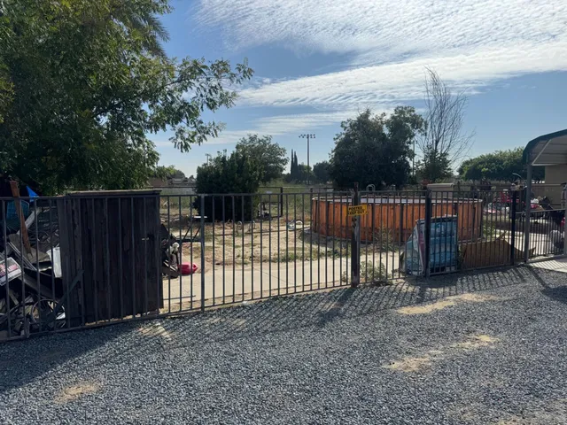 a view of a yard with a tree