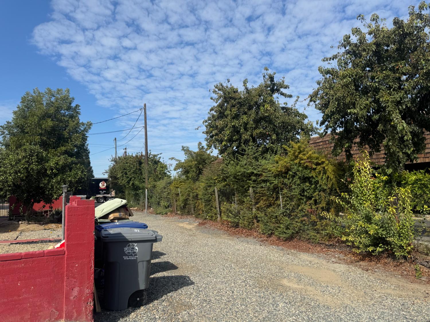 3280 McCall Avenue Selma, CA 93662 - Photo 49 of 56 a view of a yard with plants