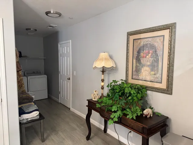 a living room with furniture and a potted plant