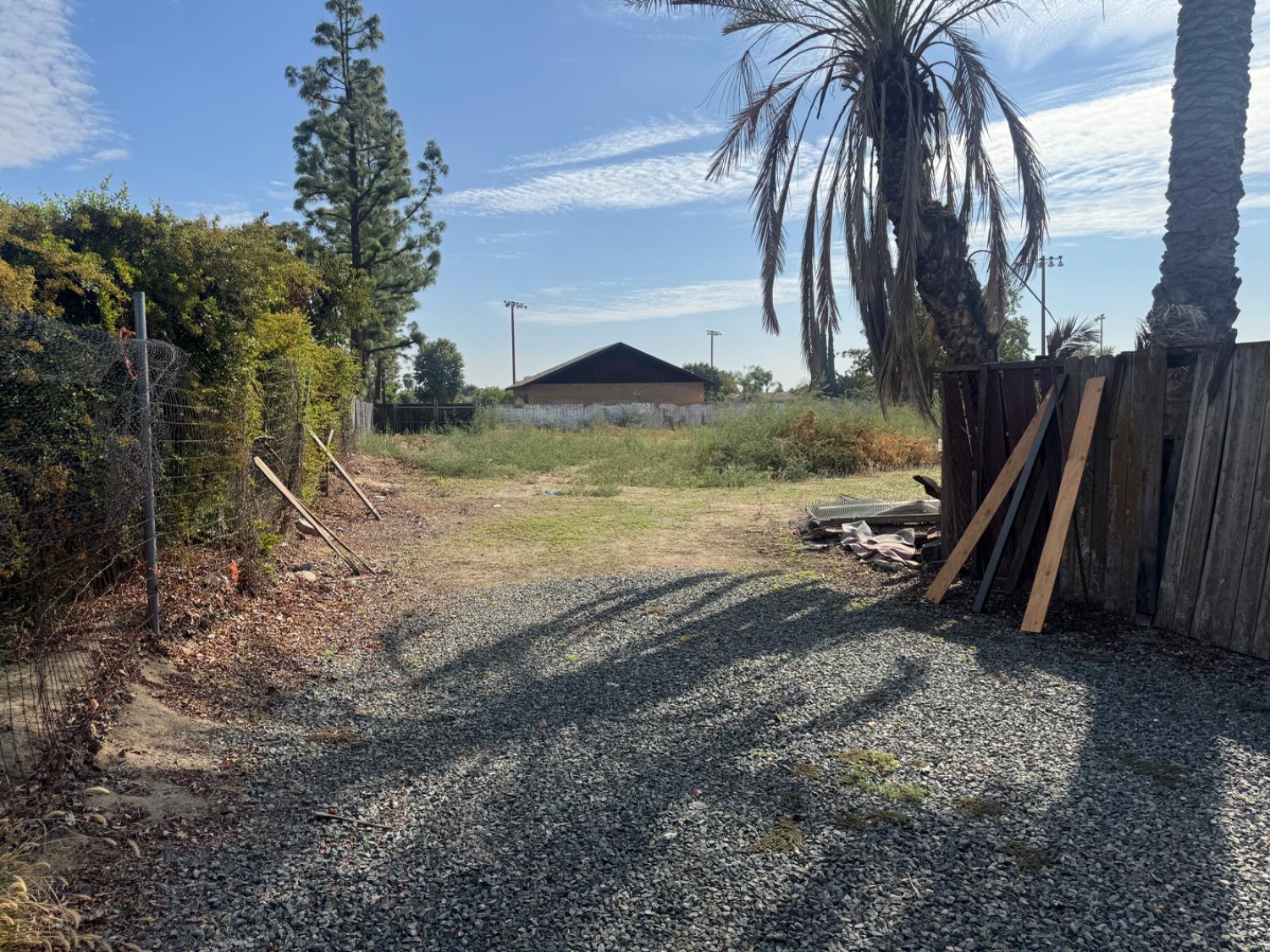 3280 McCall Avenue Selma, CA 93662 - Photo 54 of 56 a view of a yard with a tree