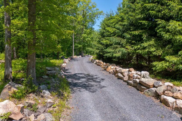 a view of a wooden house with a yard and a large tree
