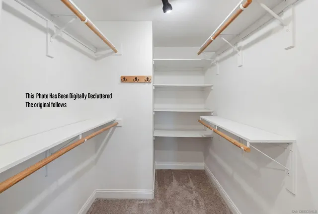 a view of a yard with plants and a large tree