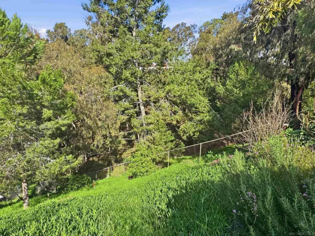 a view of a chairs and table in a backyard