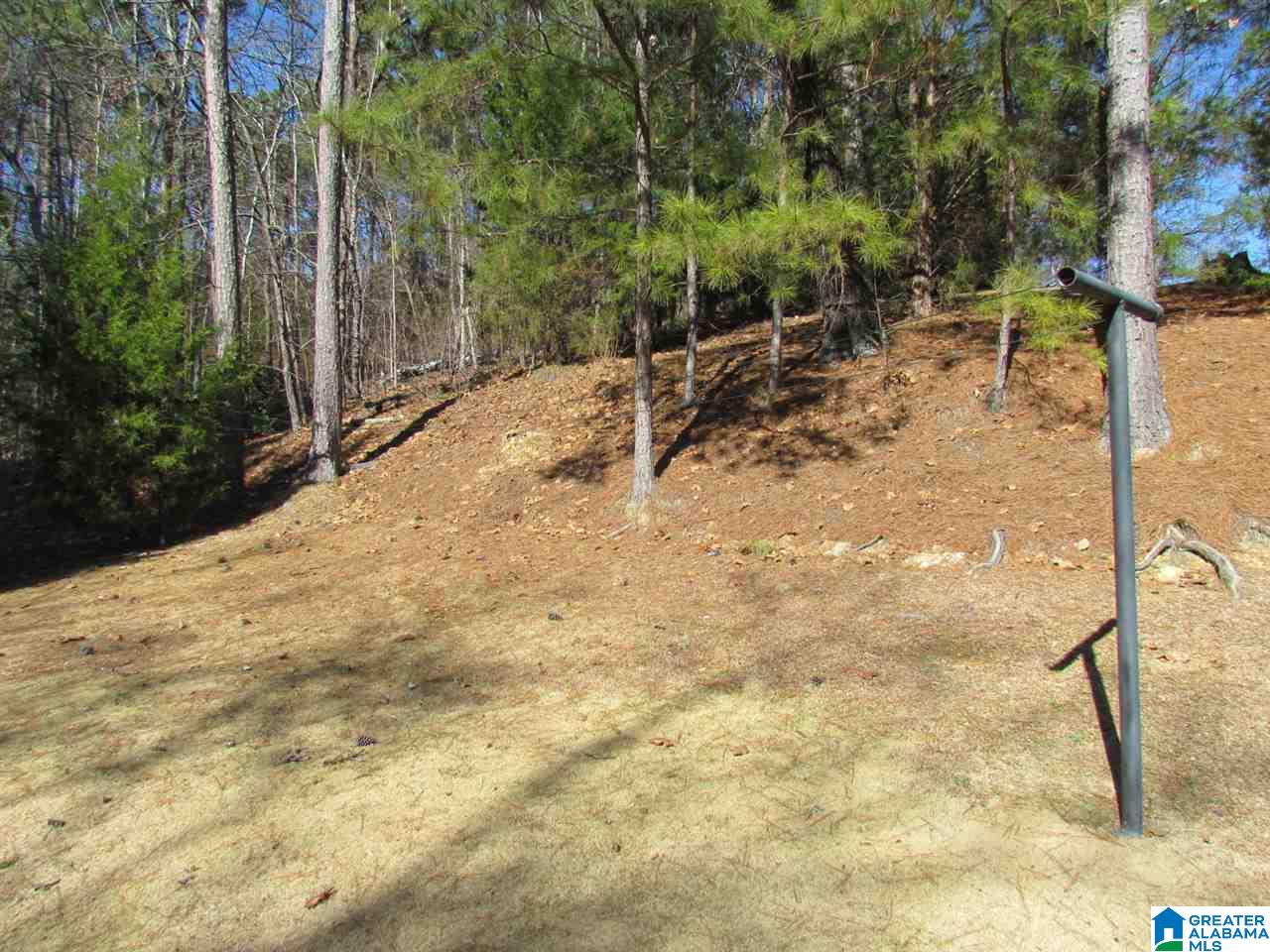 1166 Carolyn Street Leeds, AL 35094 - Photo 34 of 36