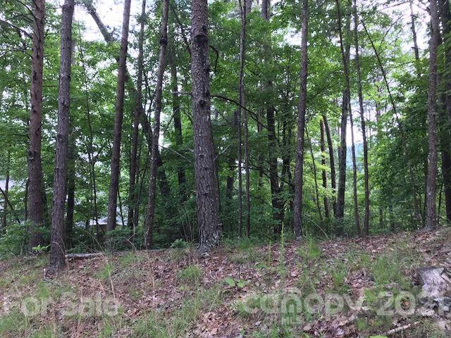 None Ridgeway Road, Unit 12 Lake Lure, NC 28746 - Photo 1 of 1 Gallery Image 1