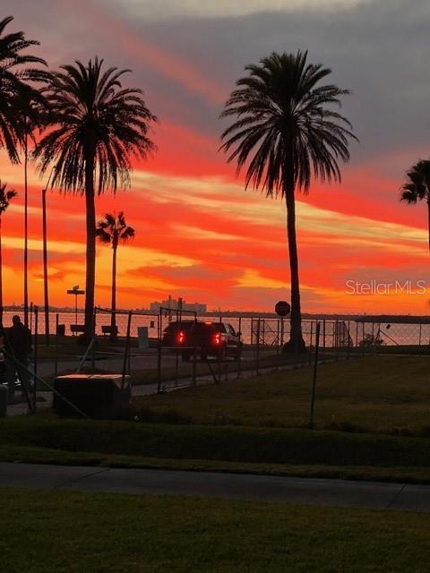 220 Lyndhurst Street Dunedin, FL 34698 - Photo 7 of 20 a view of ocean view with palm trees