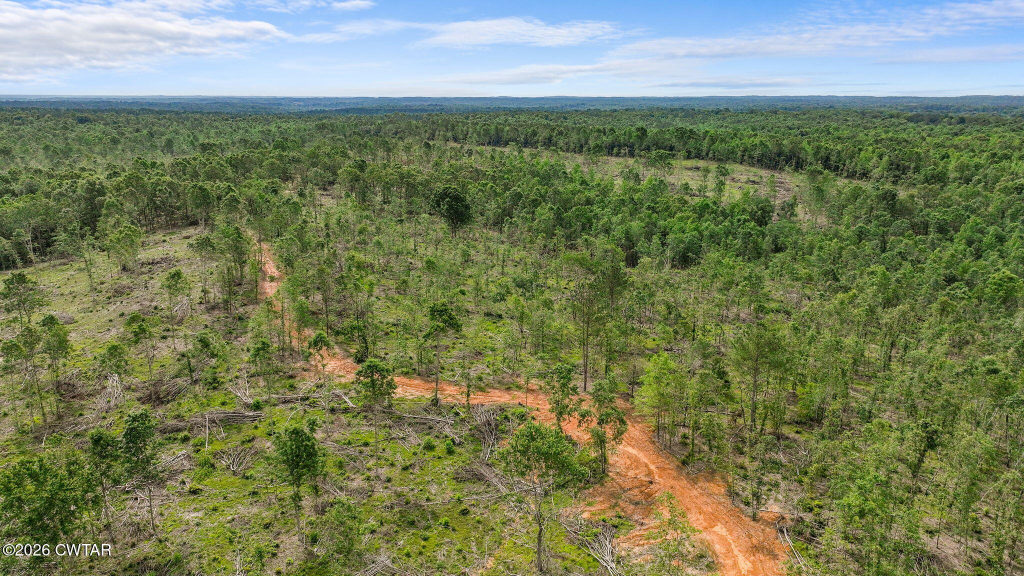 0 Wynn Road Big Sandy, TN 38221 - Photo 13 of 28 11-web-or-mls-DJI_0067