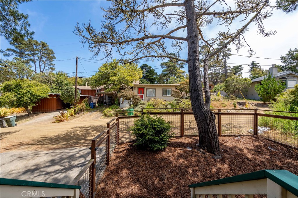 2755 Taft Place Cambria, CA 93428 - Photo 25 of 43 a view of a park with large trees