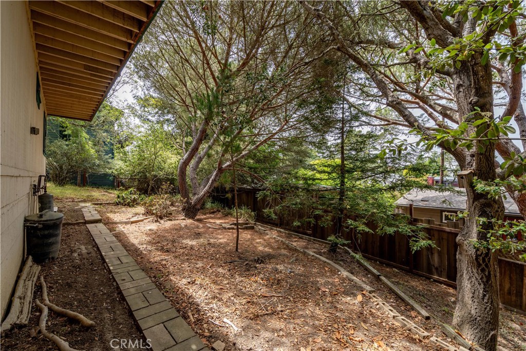 2755 Taft Place Cambria, CA 93428 - Photo 30 of 43 a backyard of a house with lots of green space