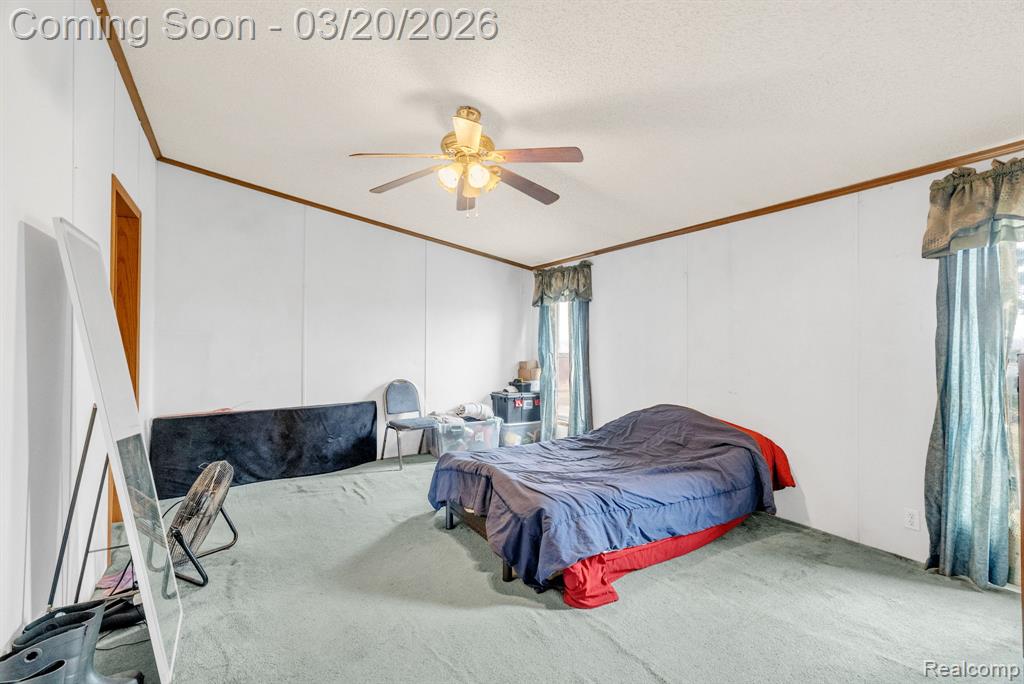 7151 Martin Road Imlay City, MI 48444 - Photo 13 of 49