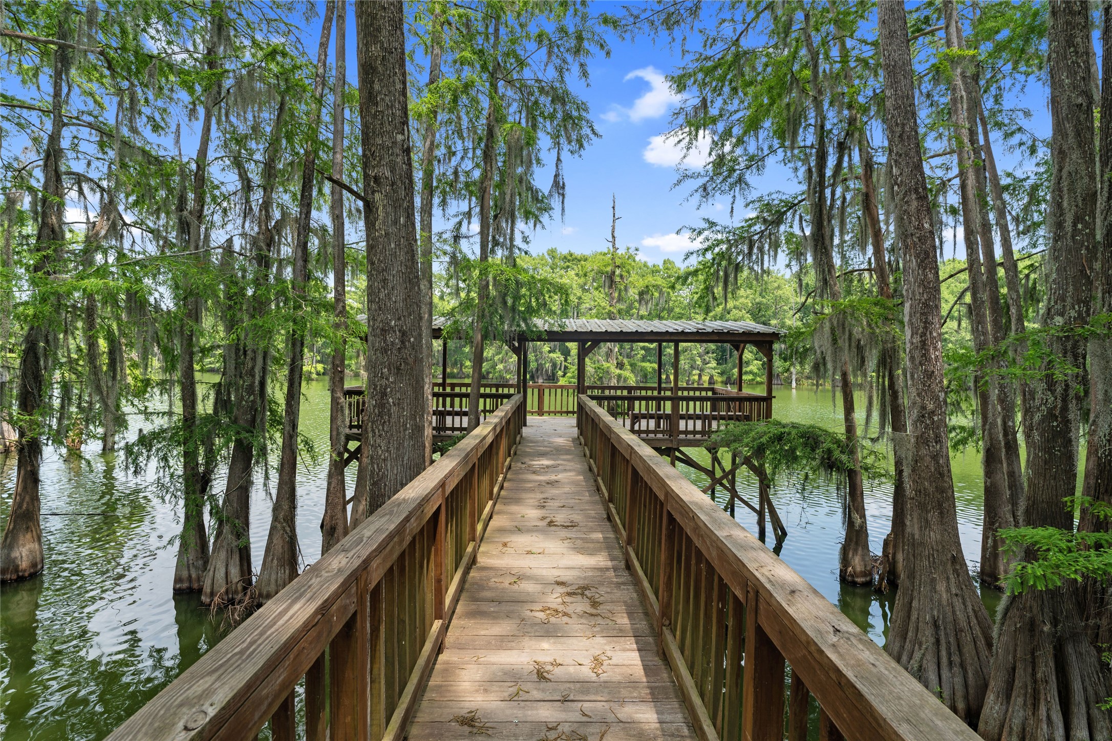 215 Center Street Cleveland, TX 77327 - Photo 26 of 38 a view of balcony and trees