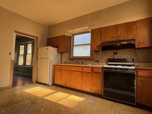 251 West 105th Place Chicago, IL 60628 - Photo 4 of 13 a kitchen with a refrigerator sink and cabinets