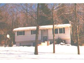 1883 Mountain Valley Road Hallstead, PA 18822 - Photo 3 of 5