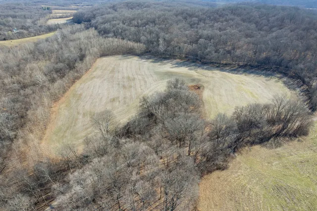 a view of an outdoor space and a yard