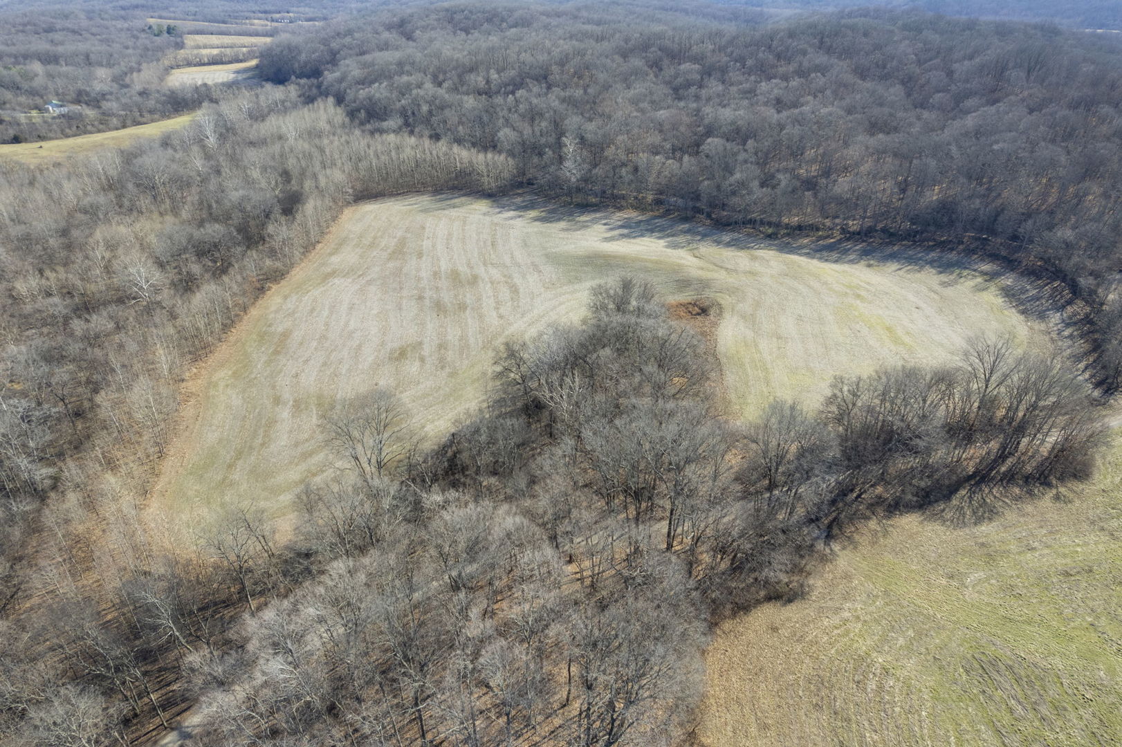 0 Wilderness Retreat Road Jonesboro, IL 62952 - Photo 11 of 89