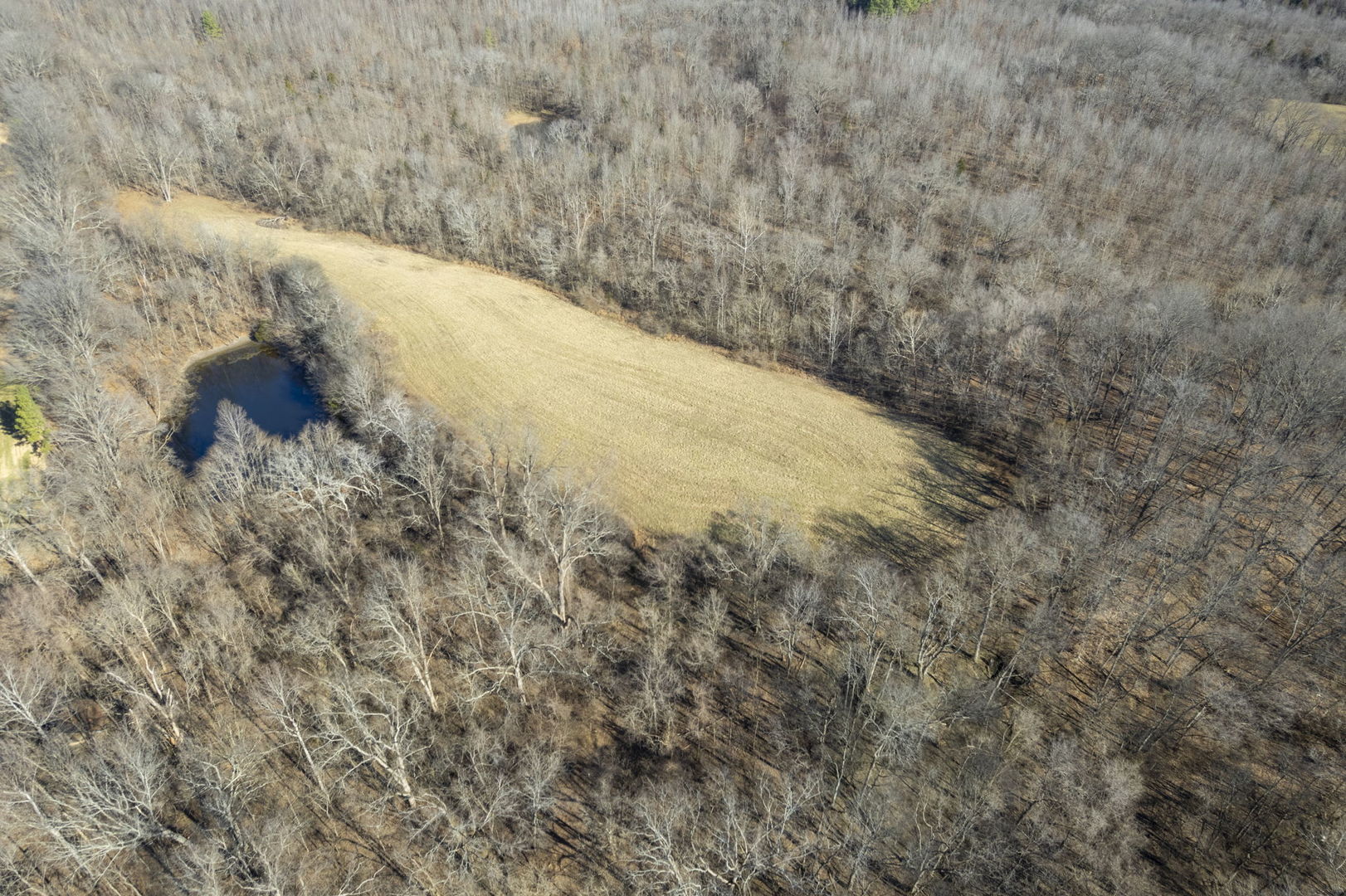 0 Wilderness Retreat Road Jonesboro, IL 62952 - Photo 13 of 89