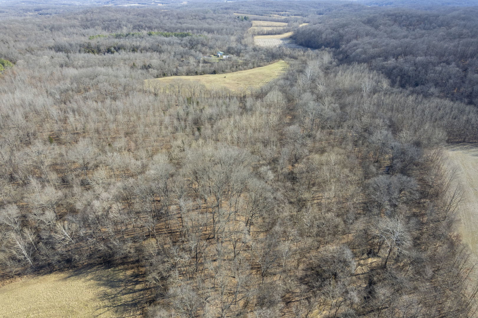 0 Wilderness Retreat Road Jonesboro, IL 62952 - Photo 14 of 89